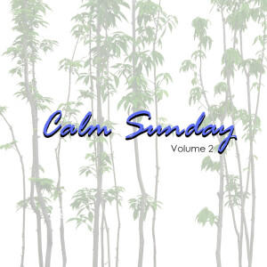Various Artists的专辑Calm Sunday (Volume 2)