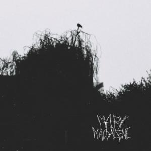 收聽Mary Magdalene的TEETH (Explicit)歌詞歌曲