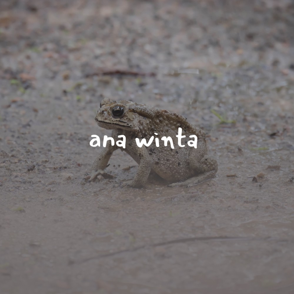 Ana Winta (You and I)