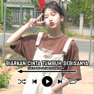 收听Respin Fanes Remix的Biarkan Cinta Tumbuh Sebisanya歌词歌曲