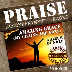 ดาวน์โหลดและฟังเพลง Be Still for the Spirit of the Lord / Be Still for the Presence of the Lord (Performance Backing Track with Melody Line) พร้อมเนื้อเพลงจาก Worship Warehouse