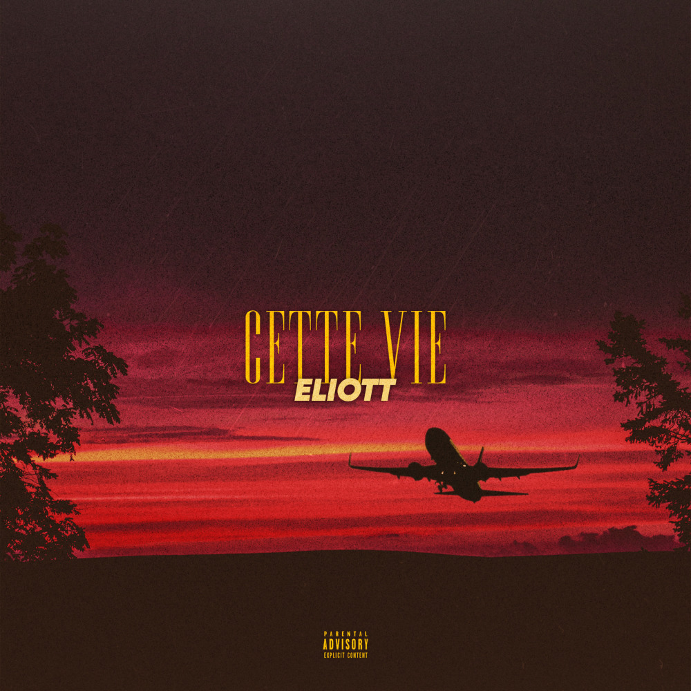 Cette vie (Explicit)