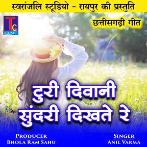 Listen to Turi Diwani Sundri Dikhathe Re song with lyrics from Anil Varma
