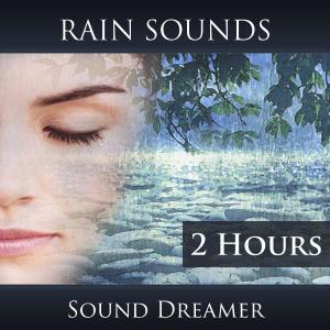Rain Sounds (2 Hours)