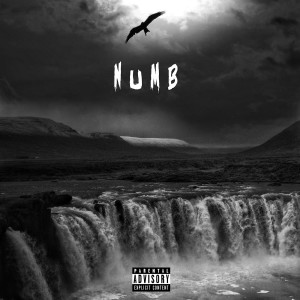 收聽Realremy的Numb (Explicit)歌詞歌曲