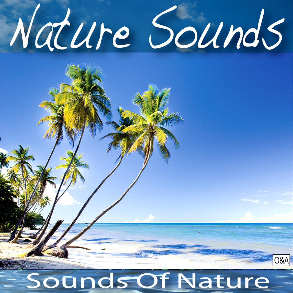 Ocean Waves Nature Sounds