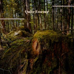 Listen to Countless Thrush song with lyrics from Roey Heno