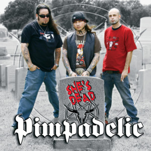 收聽Pimpadelic的I'll Never Change (Explicit)歌詞歌曲