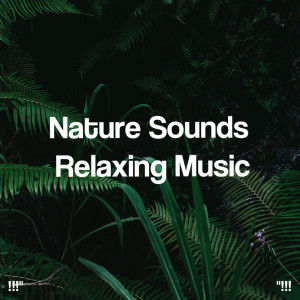 !!!" Nature Sounds Relaxing Music "!!!