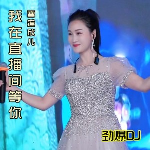 Listen to 我在直播间等你（DJ版） (其他) song with lyrics from 刘欣