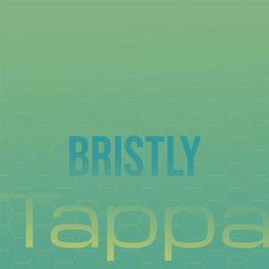 收聽Bita Leaa的Bristly Tappa歌詞歌曲