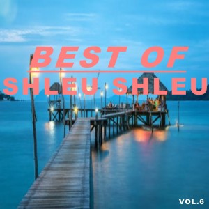 Shleu Shleu的專輯Best of shleu shleu