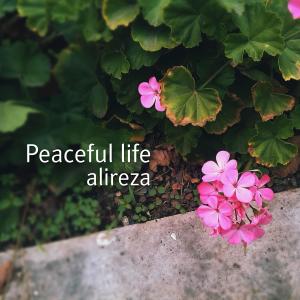 收听Alireza的Peaceful life歌词歌曲