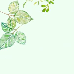 Listen to 绿茶 (完整版) song with lyrics from TU_兔斯基