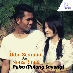 Album Pulsa (Pulang Sayang) oleh Udin Sedunia