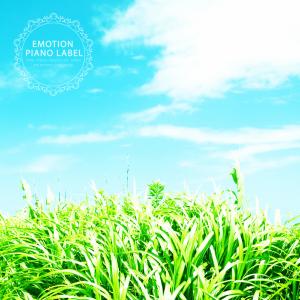 Album Sleeping music collection with happy feeling (sleeping piano) from Various Artists