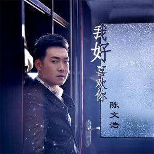 收聽陳文浩的我好喜歡你歌詞歌曲