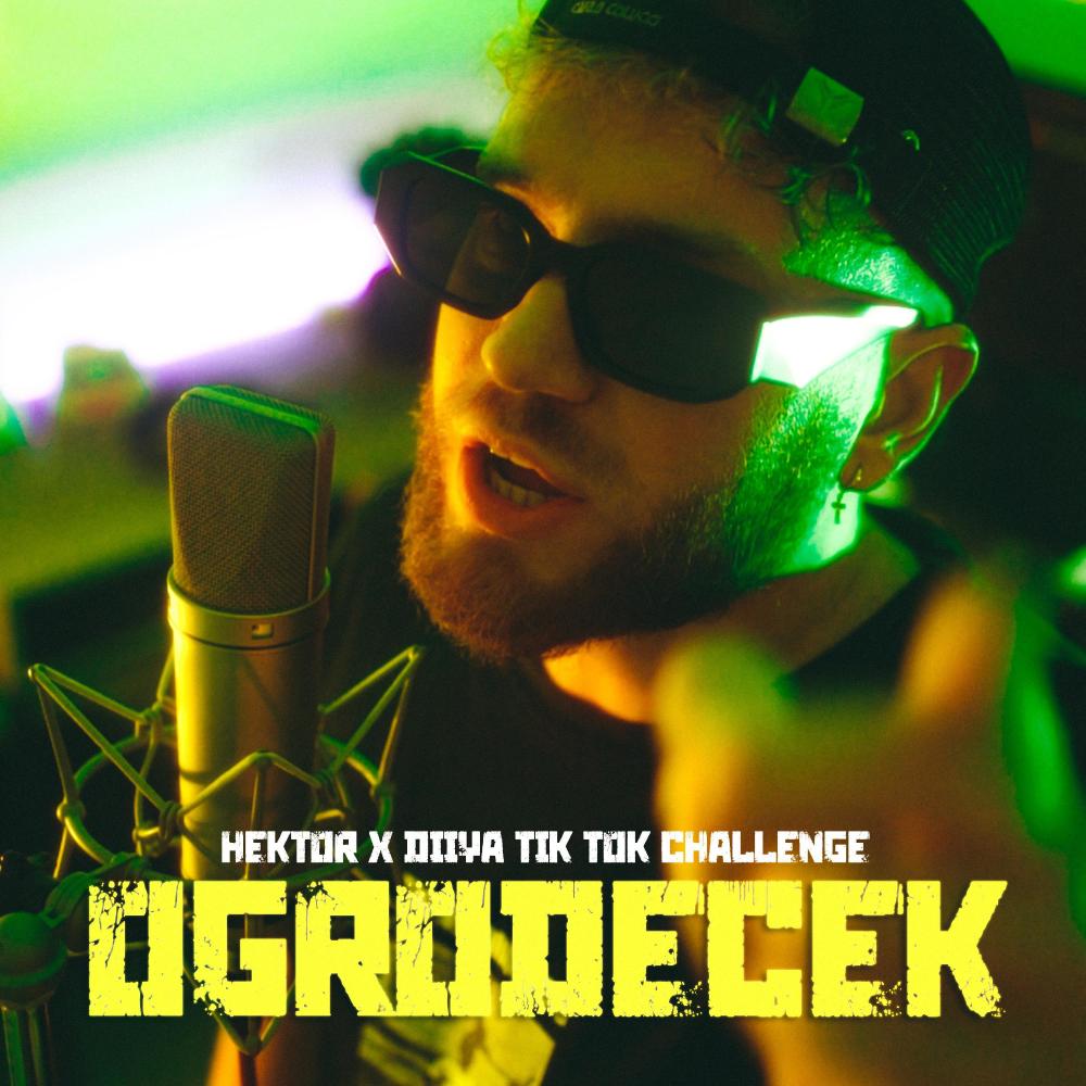 W moim ogrodecku (T challabeatz Remix|Explicit)
