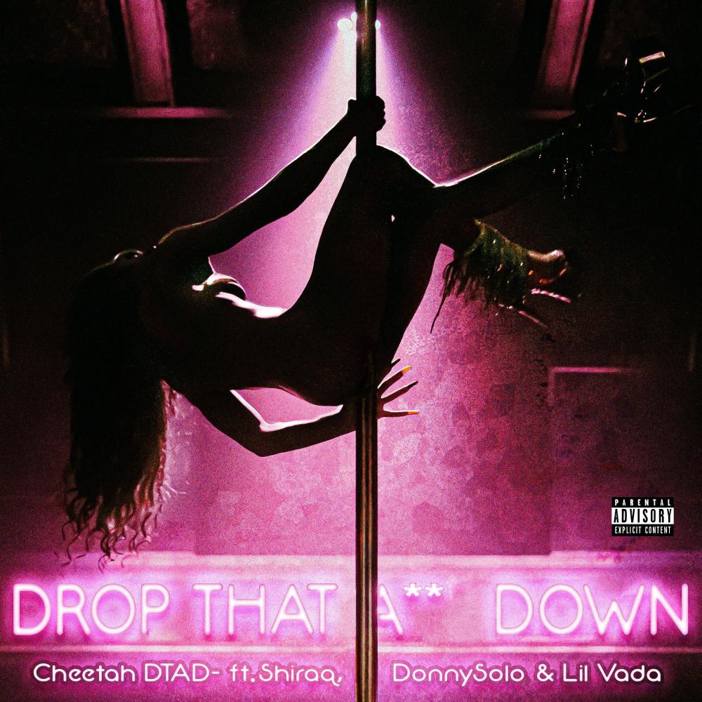DTAD (feat. Shiraq, DonnySolo & Lil Vada) (Explicit)