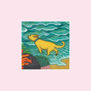 ดาวน์โหลดและฟังเพลง Dogs Dreaming พร้อมเนื้อเพลงจาก Tiny Ruins