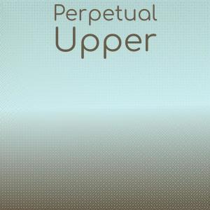 Album Perpetual Upper from Various