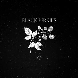 收聽mochajay的blackberries歌詞歌曲