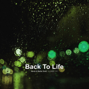 Album Back To Life from Bertie Scott