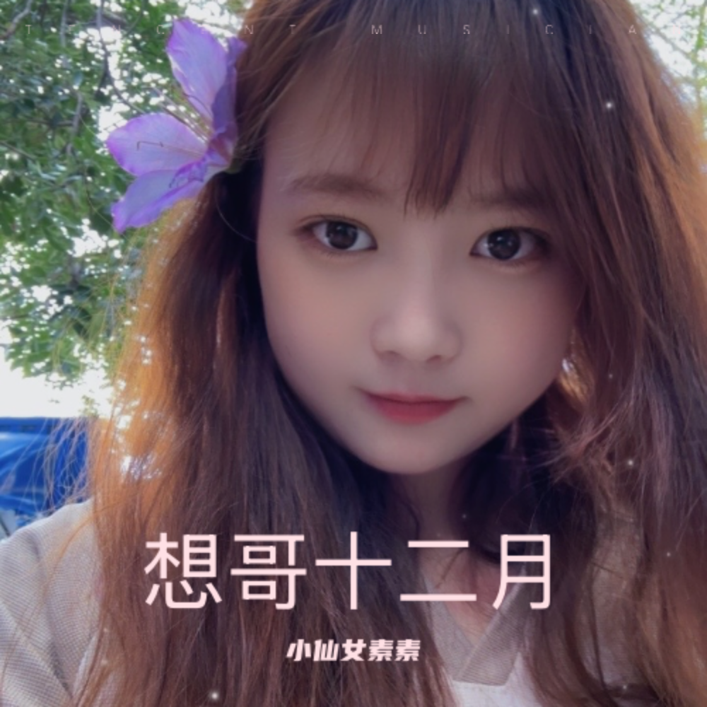 想哥十二月/小仙女 (完整版)