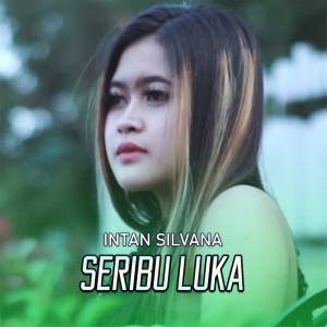 收聽Intan Silvana的Seribu Luka歌詞歌曲