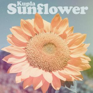 อัลบัม Sunflower ศิลปิน Kupla