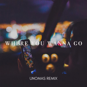 Album Where You Wanna Go (UNOMAS Remix) oleh Adrian Milanio