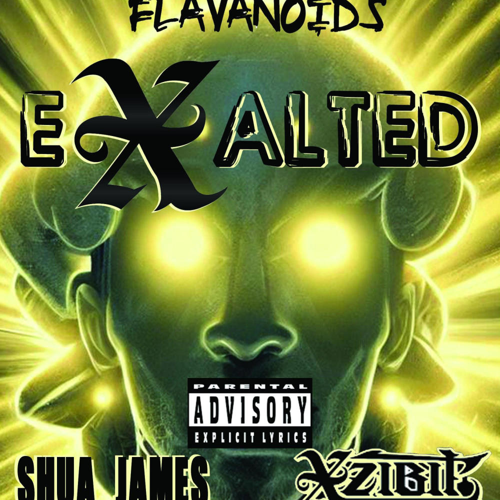 eXalted (feat. Xzibit & Shua James) (Explicit)
