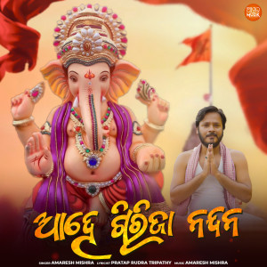 Amaresh Mishra的专辑Ahe Girija Nandana