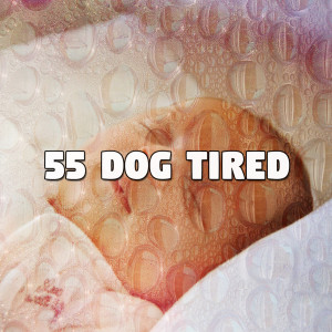 收聽Sleep Sounds of Nature的Wrapped in Comfort歌詞歌曲