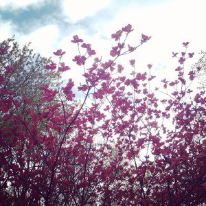 收聽Delicate Flowers的Vessel歌詞歌曲