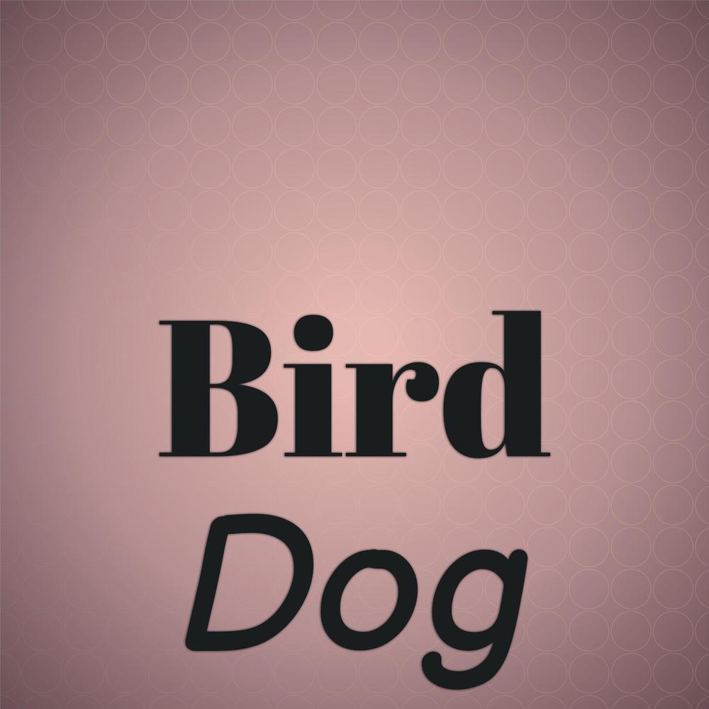 Bird Dog