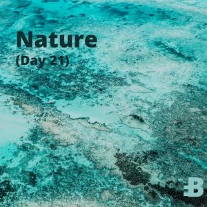 Listen to Nature (Day 29) song with lyrics from Bufri