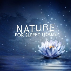 ดาวน์โหลดและฟังเพลง Feathers พร้อมเนื้อเพลงจาก Dreams of Nature