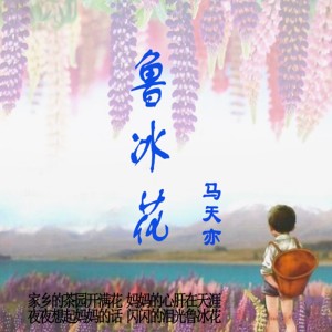 Album 鲁冰花 from 