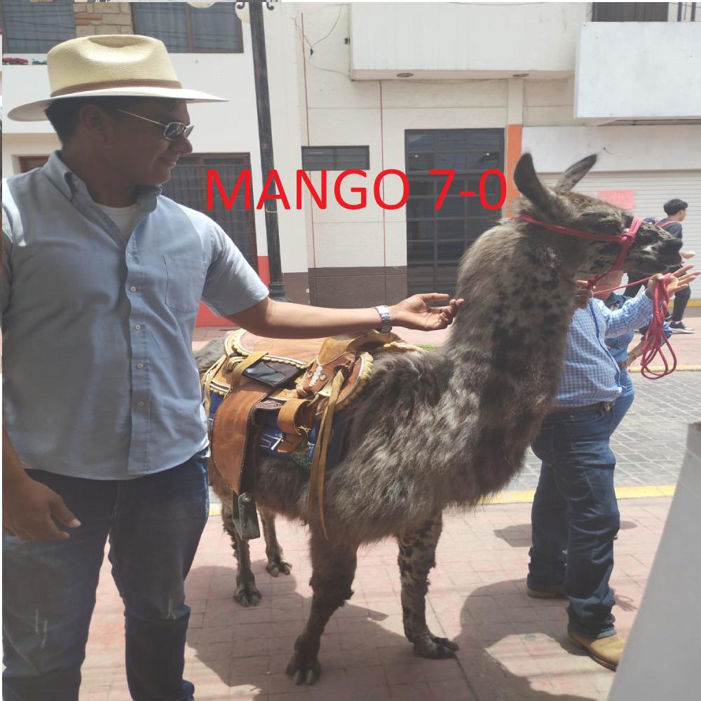 De Mango a Krilin