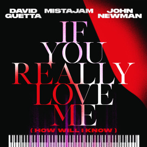 David Guetta的專輯If You Really Love Me (How Will I Know)