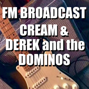 ดาวน์โหลดและฟังเพลง It's Too Late (Live) พร้อมเนื้อเพลงจาก Derek & the Dominos