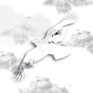 Mert的專輯white eagle
