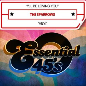 ดาวน์โหลดและฟังเพลง Hey! พร้อมเนื้อเพลงจาก The Sparrows