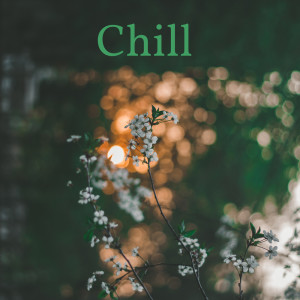 Listen to Chill song with lyrics from N_Sanny