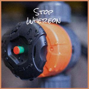 Album Stop Whereon from Various