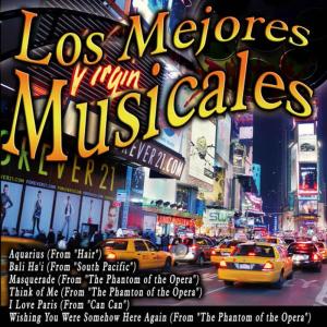 收聽The Musical Orchestra的Think of Me (From "The Phamton of the Opera")歌詞歌曲