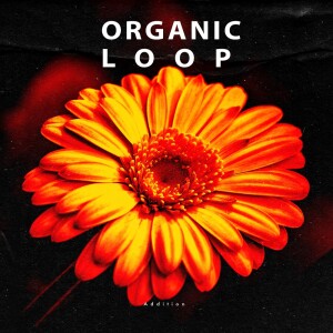 收听AiG的Wandering Soul (Underground Loop Remix)歌词歌曲