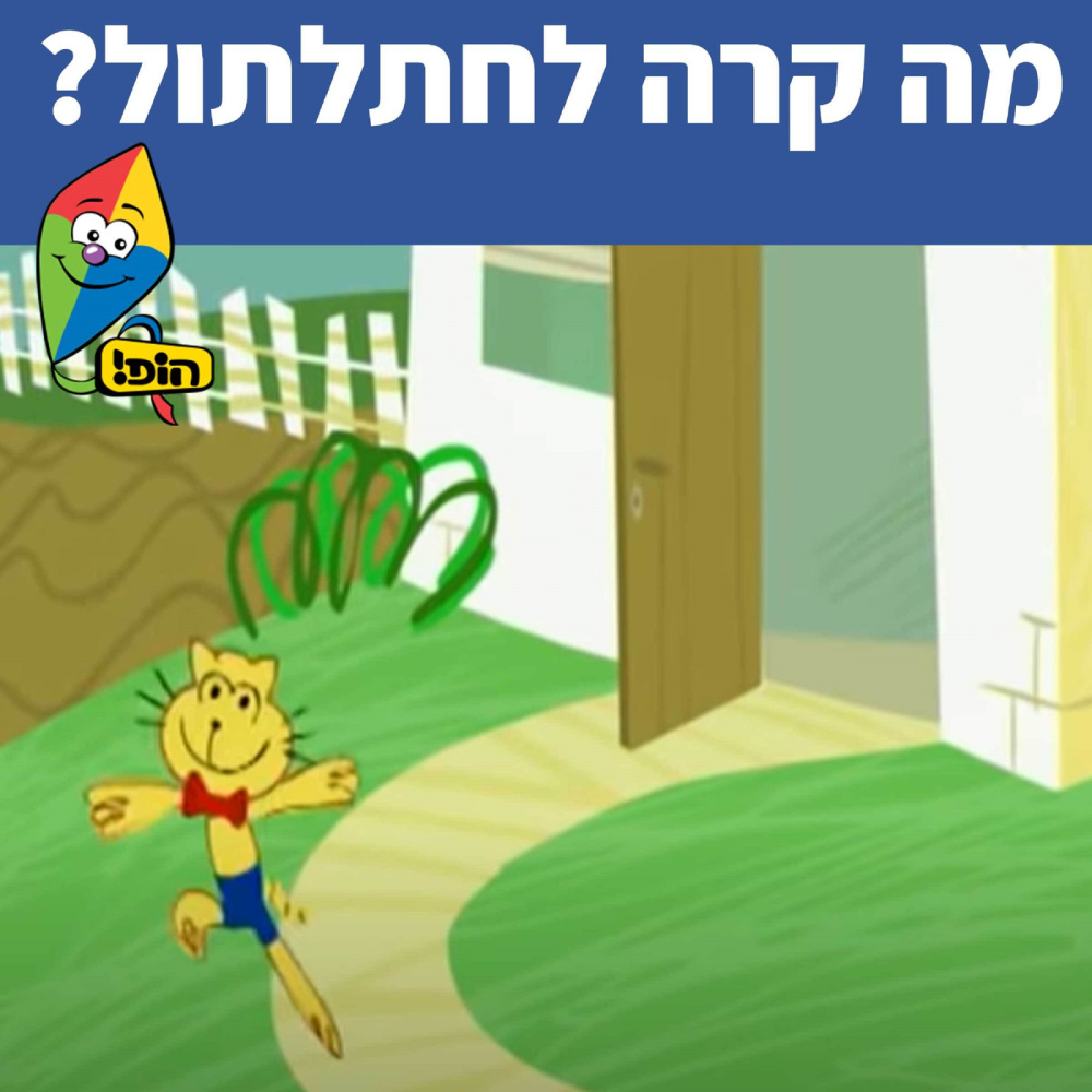 מה קרה לחתלתול