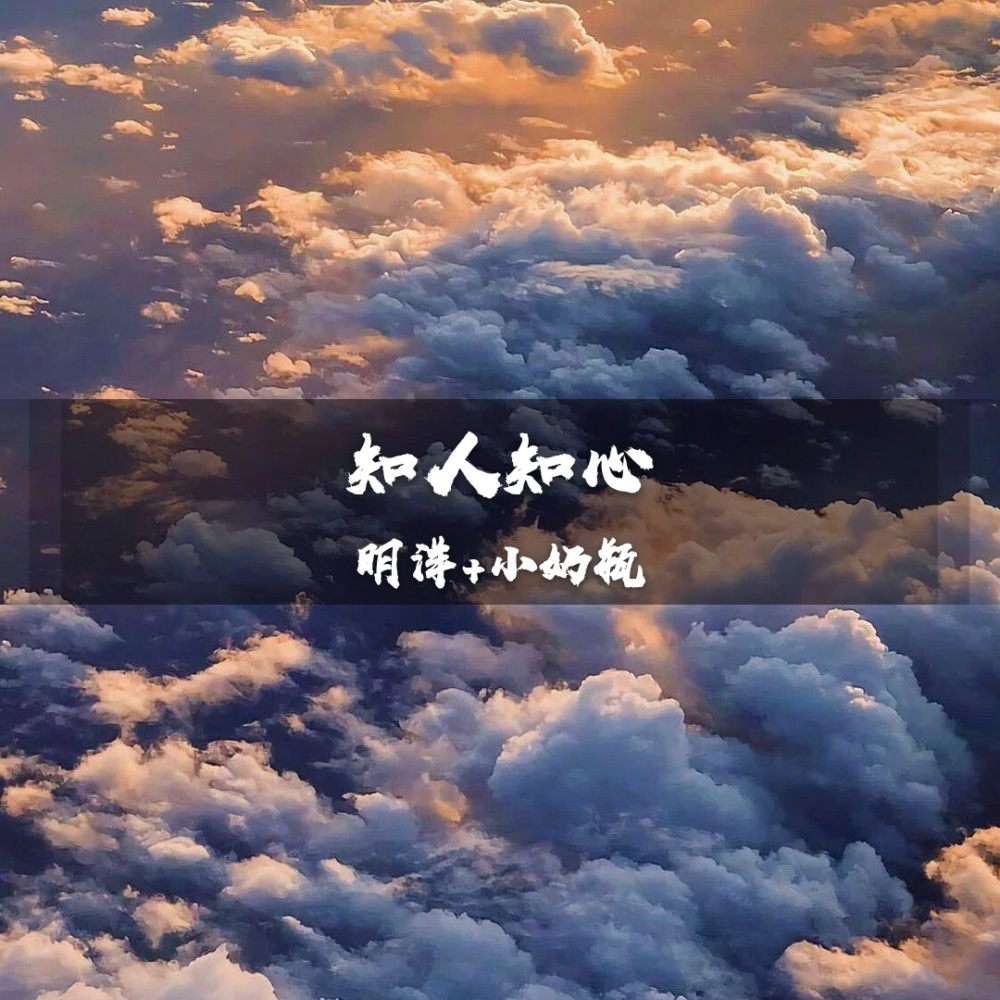 你的呻吟 (DJ版)